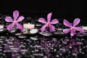 Foto op Plexiglas spa still life of with  orchid ,candle  and zen black stones wet background  © Mee Ting