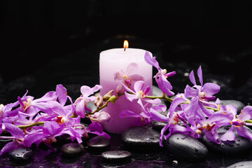 spa still life of with 
branch  orchid ,candle  and zen black stones wet background
