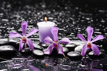 spa still life of with 
 orchid ,candle  and zen black stones wet background

