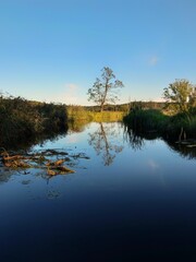 lake in autumn