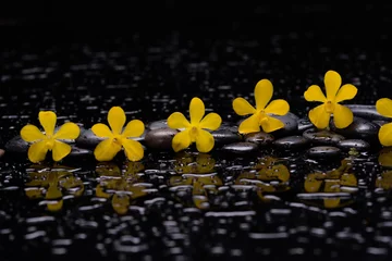 Rolgordijnen still life of with   yellow orchid , and zen black stones wet background  © Mee Ting