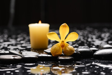 spa still life of with 
 yellow orchid ,candle  and zen black stones wet background
