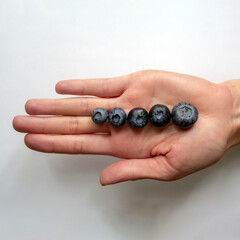 blueberries on a woman's hand. five blueberries of different sizes. vitamin source. Square image.