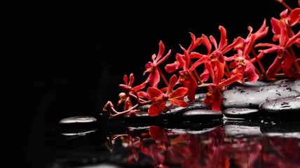 Tuinposter spa still life of with lying on  branch orchid and zen black stones wet background  © Mee Ting