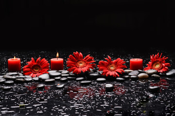 still life of with 
sunflower ,candle and zen black stones ,wet background
