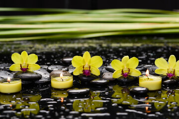 Still life of with 
Yellow orchid ,candle and zen black stones on wet background,
