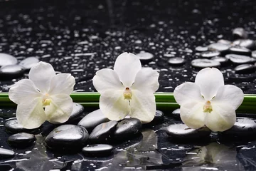 Fotobehang still life of with white orchid on zen black stones and long leaves on wet background © Mee Ting
