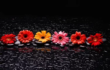 Fotobehang Still life of with  Six flower and zen black stones on wet background  © Mee Ting
