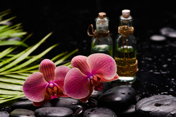 Still life of with 
Pink orchid  ,oil bottle  and green palm with zen black stones on wet background,
