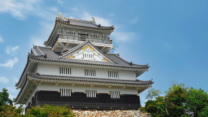 Fototapeta premium Gifu castle built on the mountaintop of Japan