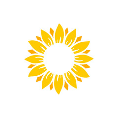 yellow sunflower vector bloom in spring