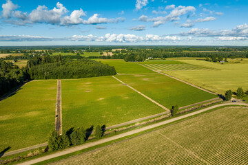 Aerial view of  green strawberry fields iduring sunny summer morning with blue sky