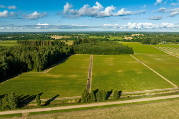 Aerial view of  green strawberry fields iduring sunny summer morning with blue sky