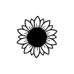 yellow sunflower vector bloom in spring