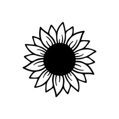 yellow sunflower vector bloom in spring