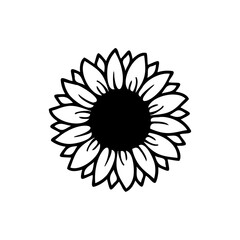 yellow sunflower vector bloom in spring