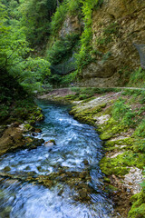 Radovna River In Vintgar Gorge In Slovenia
