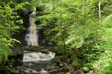 Mill Gill Force near Askrigg in Wensleydale