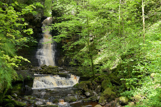Mill Gill Force near Askrigg in Wensleydale