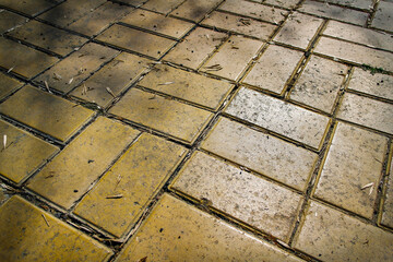 Pavement. Sidewalk tiles background. Pavement tiles. Top view. Closeup. Footpath