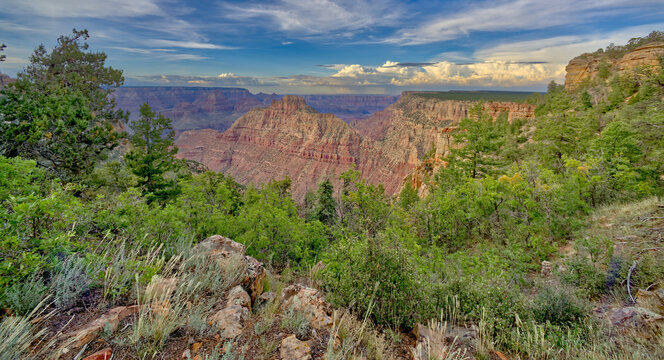Coronado Butte viewed from Buggeln Overlook, Grand Canyon National Park, Arizona, USA