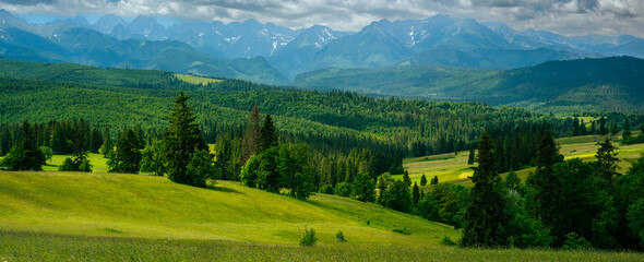 Fototapeta Mountains landscape with rolling hills, trees and meadows in tatras, Poland obraz