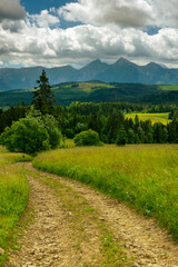 Naklejka na ściany i meble Countryside road in Tatras Mountains in Poland at summer