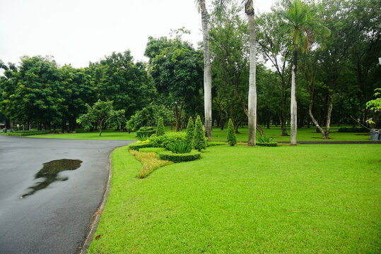 part in the park, course in the morning, the atmosphere after the rain