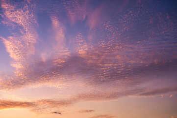 Dramatic sky with cirrocumulus clouds in the sunset - obrazy, fototapety, plakaty