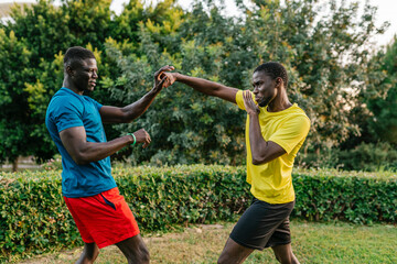 Young men practicing martial arts at park