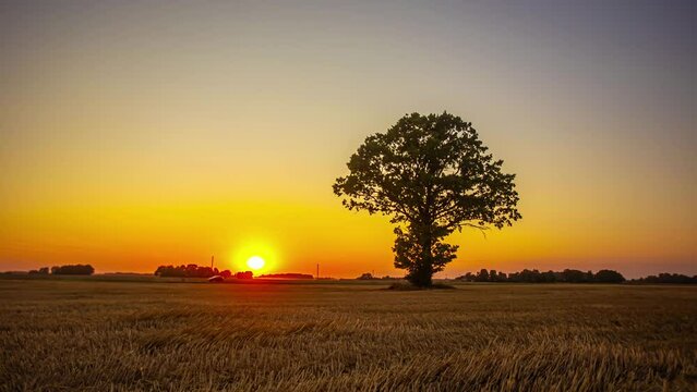A Car Park Near Isolated Tree Silhouette During Sunset Till Sunrise In Countryside. Timelapse