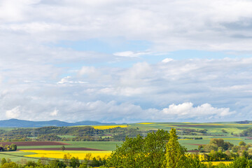 Rapeseed field in spring. Germany.