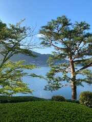 The botanicals and the passage way by the lake, Kawaguchiko Yamanashi prefecture, Japan year 2022, August 27th