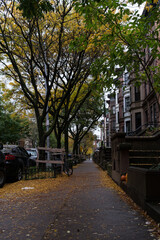Brooklyn street in autumn