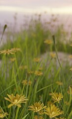 Close up flowers in bloom plant and nature scene 3D rendering wallpaper backgrounds