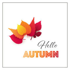 Colorful Hello Autumn Greeting Card Layout, Creative Design with Red and Golden Fallen Autumn Leaves - Multi Purpose Template, Typography for Web, Advertising, Brochures and Event Invitation