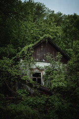 an old abandoned house that is gradually overgrown and destroyed by nature and covered with trees and shrubs.
