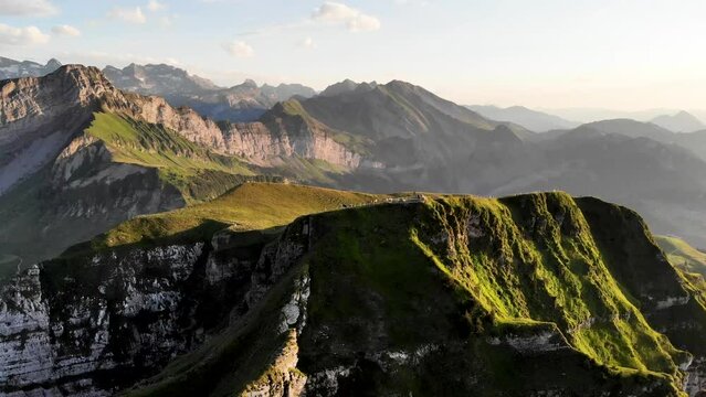 Aerial flyover over the Niederbauen Chulm peak in Uri, Switzerland with a view of grazing cows on the glowing alpine grass on a summer evening in the Swiss Alps
