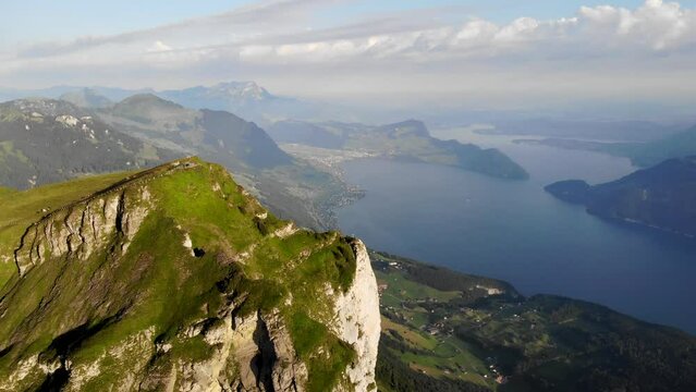 Aerial flyover towards Niederbauen Chulm in Uri, Switzerland with a view of cows grazing and mountain peak's tall cliffs above Lake Lucerne on a summer morning in the Swiss Alps