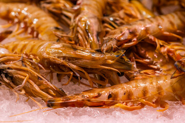 fresh prawns on ice in a market in Seville (Spain).