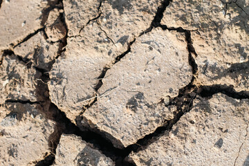 cracked soil texture heart symbol 