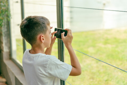 Boy photographs animals with smart phone in a zoo through protective glass