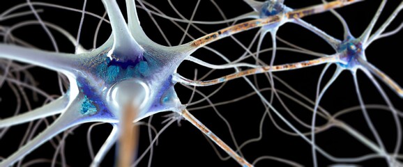 Neurons, brain cells, neural network