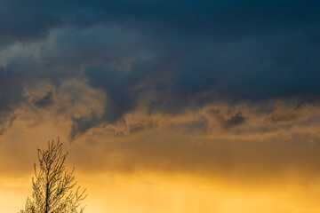 Summer sunset in the forest after rain with dramatic dark clouds in the orange sky
