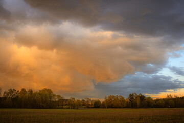 Summer sunset in the forest after rain with dramatic orange and dark clouds in the sky