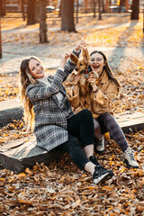 Two happy female friends girls having fun with cute cocker spaniel puppy in autumn park. Two...
