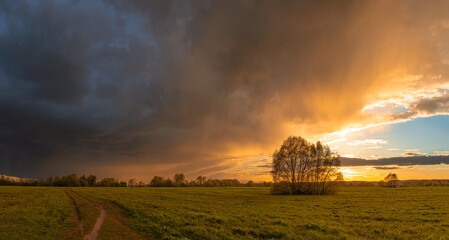 Wide angle view of dramatic sunset over summer field and forest with dark storm clouds