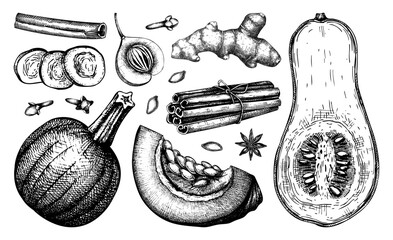 Autumn food collection. Pumpkin spices sketches. Pumpkin cake ingredients set. Anise star, ginger, cinnamon, nutmeg, cloves drawings black and white. Traditional fall food illustration