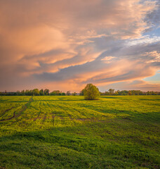 Square view of dramatic sunset sky over summer field and forest with storm clouds