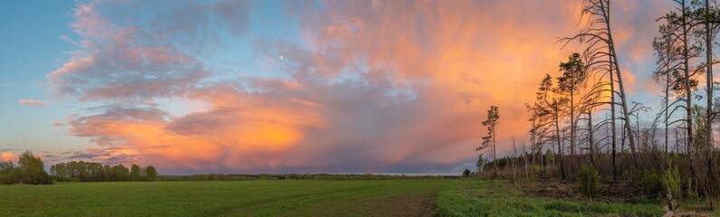 Wide angle panorama view of dramatic sunset sky over summer field and forest